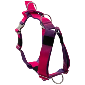Arnés táctico Berry de DoggyCraft para perros, degradado de fucsia a violeta, con anilla frontal antitirones y asa de emergencia
