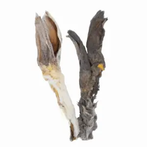 Detalle de oreja de conejo con pelo, snack natural para perros de DoggyCraft