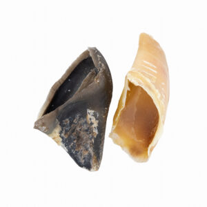 Detalle de pezuñas de ternera, snack natural para perros de DoggyCraft
