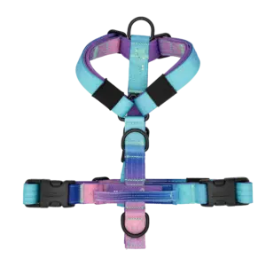 Arnés Universe Mini de DoggyCraft para perros pequeños, degradado de turquesa a lila y rosa, tallas XXS y XS