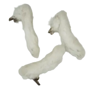Detalle de patas de conejo, snack natural para perros de DoggyCraft