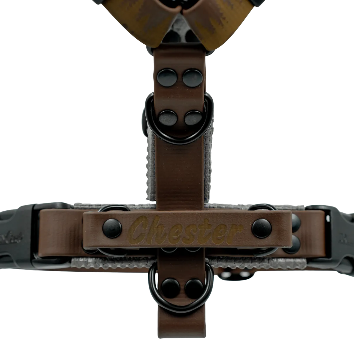 doggycraft-waterproof-arnes-3