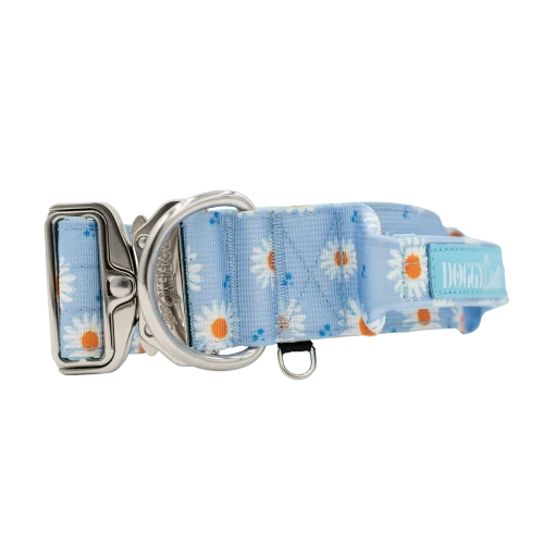 Collar táctico Bloom de DoggyCraft para perros, edición limitada, azul celeste con margaritas blancas, 5 cm de ancho