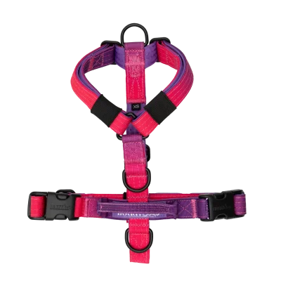 Arnés Berry Mini de DoggyCraft para perros pequeños, degradado de fucsia a violeta, tallas XXS y XS