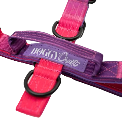 Detalle del arnés Berry Mini de DoggyCraft