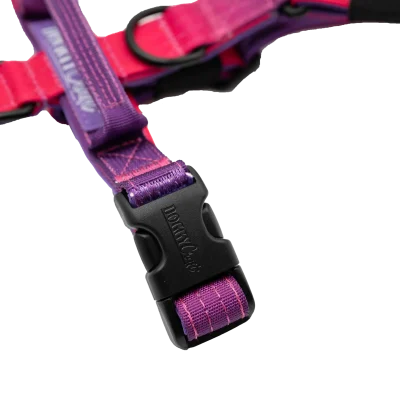 Detalle del arnés Berry Mini de DoggyCraft