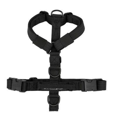 Arnés Carbon Mini de DoggyCraft para perros pequeños, negro total con herrajes negros, tallas XXS y XS