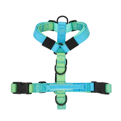 Arnés Savage Mini de DoggyCraft para perros pequeños, degradado de verde lima a turquesa y azul, tallas XXS y XS