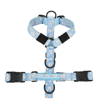 Arnés Bloom Mini de DoggyCraft para perros pequeños, azul celeste con margaritas blancas, tallas XXS y XS