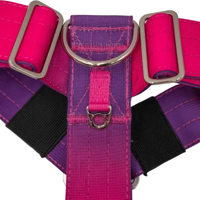 Detalle del arnés táctico Berry de DoggyCraft