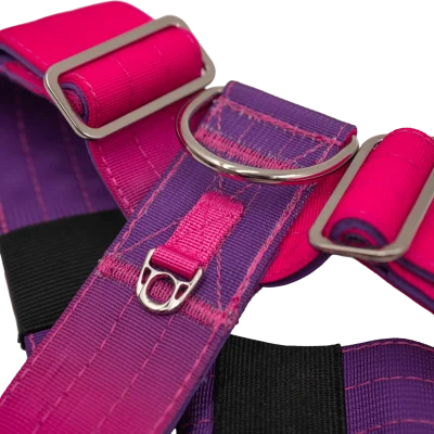 Detalle del arnés táctico Berry de DoggyCraft