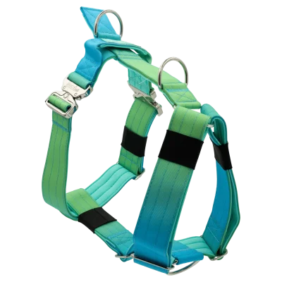 Arnés táctico Savage de DoggyCraft para perros, degradado de verde lima a turquesa y azul, con anilla frontal antitirones y asa de emergencia