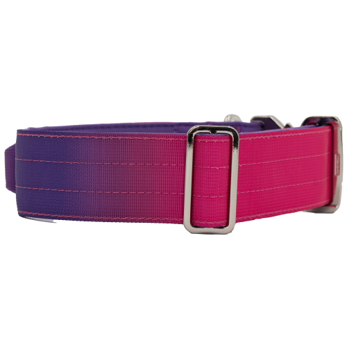 Detalle del collar táctico Berry de DoggyCraft