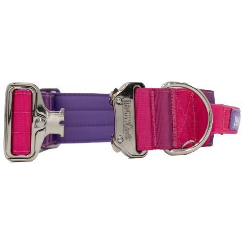 Detalle del collar táctico Berry de DoggyCraft