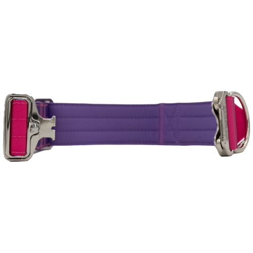 Detalle del collar táctico Berry de DoggyCraft