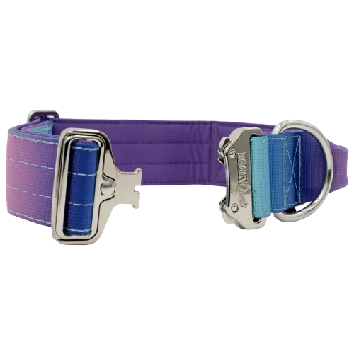 Detalle del collar táctico Universe de DoggyCraft