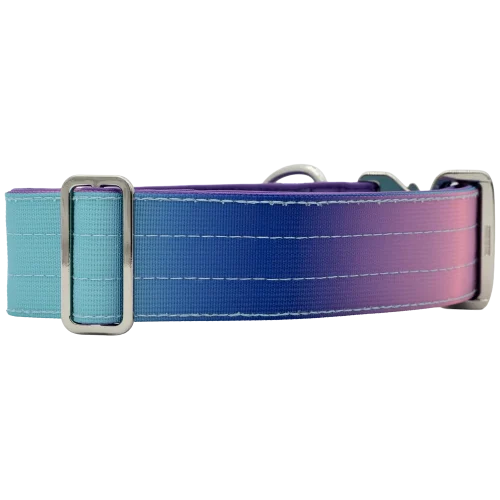 Detalle del collar táctico Universe de DoggyCraft